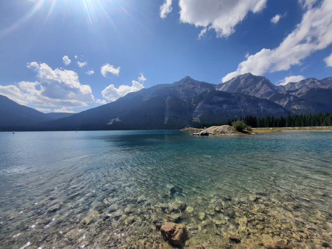 a lush green hillside covered in lots of trees